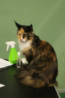 Selina 05-2019