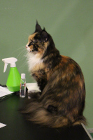 Selina 05-2019