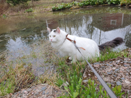 Alvin 05/2025