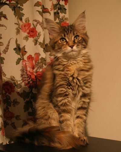 Betty