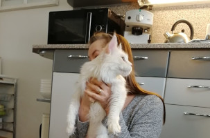 Blondi 27.4.2021