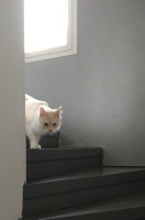 Blondi 27.4.2021