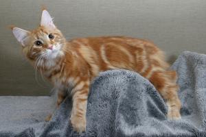 Cleo 17.5.2012