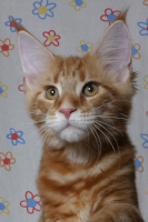 Cleo 29.1.2012