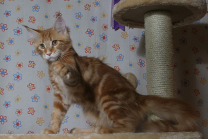 Cleo 29.1.2012
