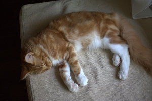 Emil 28.8.2012