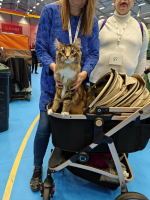 Fazerina URK 19.10.2025