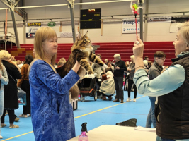 Fazerina URK 19.10.2025