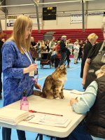 Fazerina URK 19.10.2025