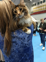 Fazerina URK 19.10.2025