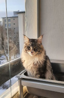 Huuko 22.1.2022