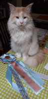 Jerry 01/2020