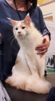 Jerry 09/2017