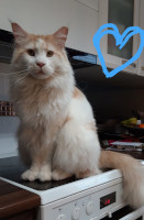 Jerry 13.1.2020