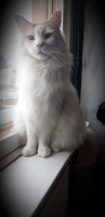 Jerry 13.1.2021