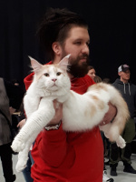 Jerry 1/2018