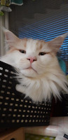 Jerry 29.8.2019