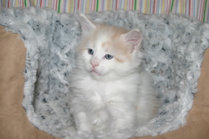 Jerry