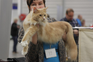 Juniper PetExpo 2015