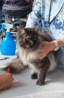 Laku 08/2023