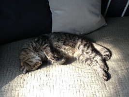 Leevi 4.5.2015