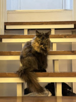 Minni 01/2024