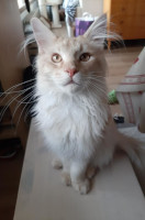 Onni 3.5.2021