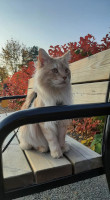 Onni 10/2021