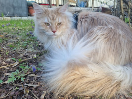 Onni 05/2023