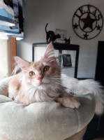 Onni 9.5.2021