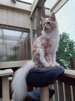 Onni 06/2021