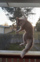 Onni 14.4.2021