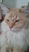 Onni 03/2024