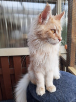 Onni 15.5.2021