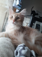 Onni 16.3.2021