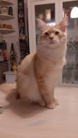 Onni 12/2021
