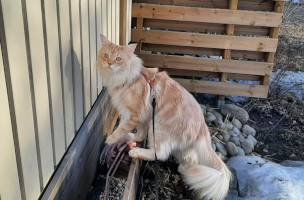 Onni 04/2022
