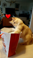 Onni 12/2021