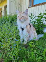 Onni 06/2022