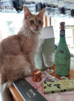 Onni 22.4.2021