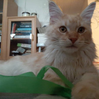 Onni 22.5.2021