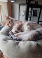 Onni 24.4.2021