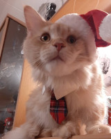 Onni 12/2021