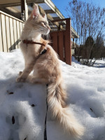 Onni 26.3.2021