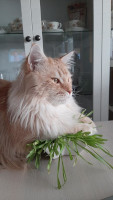 Onni 04/2022
