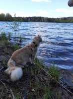 Onni 29.5.2021