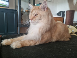 Onni 07/2023