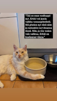 Pätkis 6/2025
