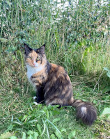 Selina 07-2021