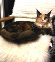 Selina 2 vuotta 10/2018